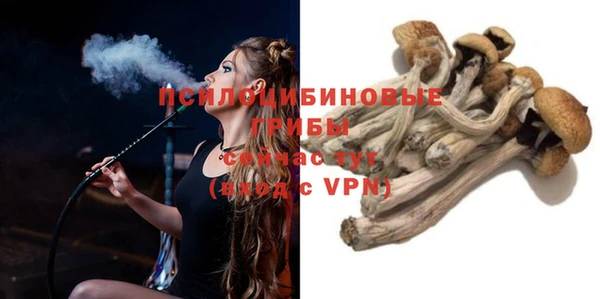 крисы Михайлов