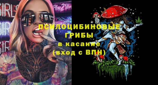 крисы Михайловск