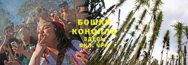 крисы Михайловск