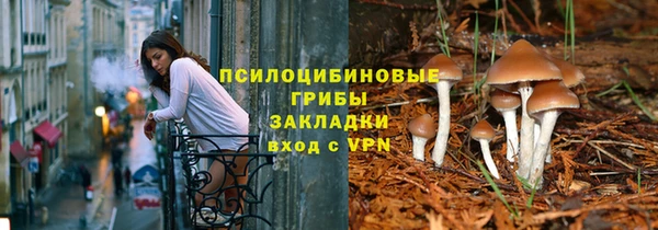 гидропоника Вязьма
