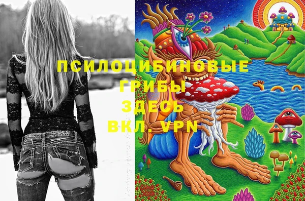 мдма Вяземский