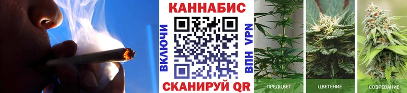 Бошки Шишки марихуана  Галич 